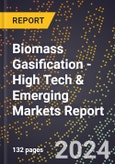 2024 Global Forecast for Biomass Gasification (2025-2030 Outlook) - High Tech & Emerging Markets Report- Product Image