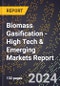2024 Global Forecast for Biomass Gasification (2025-2030 Outlook) - High Tech & Emerging Markets Report - Product Thumbnail Image