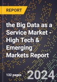 2024 Global Forecast for the Big Data as a Service (BDAAS) Market (2025-2030 Outlook) - High Tech & Emerging Markets Report- Product Image