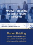 Google in Private Networks- Product Image