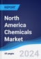 North America Chemicals Market Summary, Competitive Analysis and Forecast, 2017-2026 - Product Image