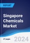 Singapore Chemicals Market Summary, Competitive Analysis and Forecast to 2028 - Product Thumbnail Image