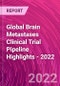 Global Brain Metastases Clinical Trial Pipeline Highlights - 2022 - Product Thumbnail Image