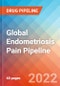 Global Endometriosis Pain - Pipeline Insight, 2022 - Product Thumbnail Image