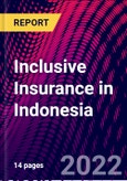 Inclusive Insurance in Indonesia- Product Image