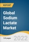Global Sodium Lactate Market Size, Share & Trends Analysis Report by Form (Powder, Liquid), by Application (Cosmetics, Pharmaceuticals, Food & Beverages), by Region, and Segment Forecasts, 2022-2030 - Product Image