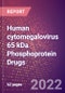 Human cytomegalovirus 65 kDa Phosphoprotein (PP65 or 65 kDa Matrix Phosphoprotein or Tegument Protein UL83 or UL83) Drugs in Development by Therapy Areas and Indications, Stages, MoA, RoA, Molecule Type and Key Players, 2022 Update - Product Thumbnail Image