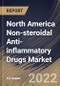 North America Non-steroidal Anti-inflammatory Drugs Market Size, Share & Industry Trends Analysis Report By Route of Administration (Oral, Topical and Others), By Distribution Channel, By Route of Disease Indication, By Country and Growth Forecast, 2022 - 2028 - Product Thumbnail Image