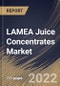 LAMEA Juice Concentrates Market Size, Share & Industry Trends Analysis Report By Type (Fruit Juice Concentrates and Vegetables Juice Concentrates), By Application, By Ingredient, By Form, By Country and Growth Forecast, 2022 - 2028 - Product Thumbnail Image