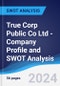 True Corp Public Co Ltd - Company Profile and SWOT Analysis - Product Thumbnail Image