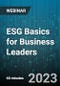 ESG Basics for Business Leaders - Webinar (Recorded) - Product Image