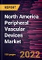 North America Peripheral Vascular Devices Market Forecast to 2028 - COVID-19 Impact and Regional Analysis - by Product and End User - Product Image