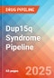 Dup15q Syndrome - Pipeline Insight, 2024 - Product Image