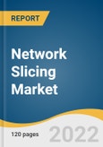 Network Slicing Market Size, Share & Trends Analysis Report by Component, by End User (Communication Service Providers, Enterprises), by Industry Vertical, by Region, and Segment Forecasts, 2022-2030- Product Image