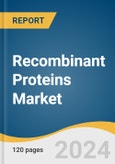 Recombinant Proteins Market Size, Share & Trends Analysis Report by Host Cell (Insect Cells, Mammalian), by Application (Research, Therapeutics), by Product & Services, by End-user, by Region, and Segment Forecasts, 2022-2030- Product Image