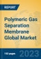 Polymeric Gas Separation Membrane Global Market Insights 2022, Analysis and Forecast to 2027, by Manufacturers, Regions, Technology, Application, Product Type - Product Image