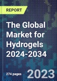 The Global Market for Hydrogels 2024-2034- Product Image