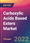 Carboxylic Acids Based Esters Market Size, Market Share, Application Analysis, Regional Outlook, Growth Trends, Key Players, Competitive Strategies and Forecasts, 2022 To 2030 - Product Image