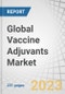 Global Vaccine Adjuvants Market by Product (Emulsions, Pathogen, Saponin, Particulate), Route of administration (Subcutaneous, Intramuscular), Disease Type (Infectious, Cancer), Type ( Human vaccine , Veterinary vaccine) - Forecast to 2028 - Product Image