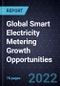 Global Smart Electricity Metering Growth Opportunities - Product Thumbnail Image
