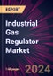 Industrial Gas Regulator Market 2024-2028 - Product Image