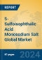 5-Sulfoisophthalic Acid Monosodium Salt Global Market Insights 2022, Analysis and Forecast to 2027, by Manufacturers, Regions, Technology, Application - Product Image