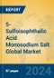 5-Sulfoisophthalic Acid Monosodium Salt Global Market Insights 2024, Analysis and Forecast to 2029, by Manufacturers, Regions, Technology, Application - Product Thumbnail Image