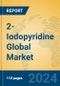 2-Iodopyridine Global Market Insights 2024, Analysis and Forecast to 2029, by Manufacturers, Regions, Technology, Application - Product Image
