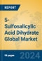 5-Sulfosalicylic Acid Dihydrate Global Market Insights 2024, Analysis and Forecast to 2029, by Manufacturers, Regions, Technology, Application - Product Image