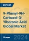 9-Phenyl-9H-Carbazol-3-Ylboronic Acid Global Market Insights 2024, Analysis and Forecast to 2029, by Manufacturers, Regions, Technology, Application - Product Image
