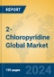 2-Chloropyridine Global Market Insights 2024, Analysis and Forecast to 2029, by Manufacturers, Regions, Technology, Application - Product Image