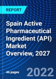 Spain Active Pharmaceutical Ingredient (API) Market Overview, 2027- Product Image