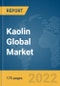 Kaolin Global Market Report 2022 - Product Thumbnail Image