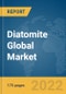 Diatomite Global Market Report 2022 - Product Thumbnail Image