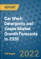 Car Wash Detergents and Soaps Market Growth Forecasts to 2030 - Product Image