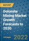 Dolomite Mining Market Growth Forecasts to 2030 - Product Image