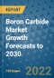 Boron Carbide Market Growth Forecasts to 2030 - Product Image
