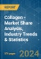 Collagen - Market Share Analysis, Industry Trends & Statistics, Growth Forecasts 2017 - 2029 - Product Image