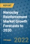 Nanoclay Reinforcement Market Growth Forecasts to 2030 - Product Image