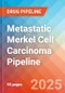 Metastatic Merkel Cell Carcinoma - Pipeline Insight, 2024 - Product Thumbnail Image