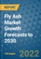 Fly Ash Market Growth Forecasts to 2030 - Product Image