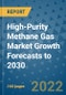 High-Purity Methane Gas Market Growth Forecasts to 2030 - Product Image