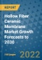 Hollow Fiber Ceramic Membrane Market Growth Forecasts to 2030 - Product Image