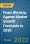 Foam Blowing Agents Market Growth Forecasts to 2030 - Product Image