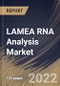 LAMEA RNA Analysis Market Size, Share & Industry Trends Analysis Report By Product, By Technology (Real Time-PCR (qPCR) Technology, Sequencing Technology, Microarray Technology), By End-use, By Application, By Country and Growth Forecast, 2022 - 2028 - Product Thumbnail Image