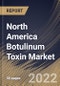 North America Botulinum Toxin Market Size, Share & Industry Trends Analysis Report By Product, By Application (Therapeutic and Aesthetic), By End User (Hospitals, Dermatology Clinics and Spas & Cosmetic Centers, By Country and Growth Forecast, 2022 - 2028 - Product Image