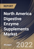 North America Digestive Enzyme Supplements Market Size, Share & Industry Trends Analysis Report By Application (Additional supplements, Medical & Infant Nutrition and Sports Nutrition), By Origin (Animal, Plant, Microbial), By Country and Growth Forecast, 2022 - 2028- Product Image