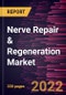 Nerve Repair & Regeneration Market Forecast to 2028 - COVID-19 Impact and Global Analysis By Product, Biomaterials, Application, Nerve Repair & Regeneration Applications - Product Image