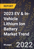 2023 EV & In-Vehicle Lithium Ion Battery Market Trend- Product Image