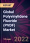 Global Polyvinylidene Fluoride (PVDF) Market 2022-2026 - Product Image